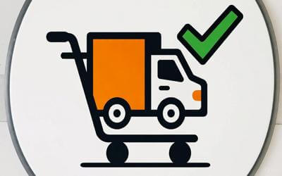 Temu free shipping promise